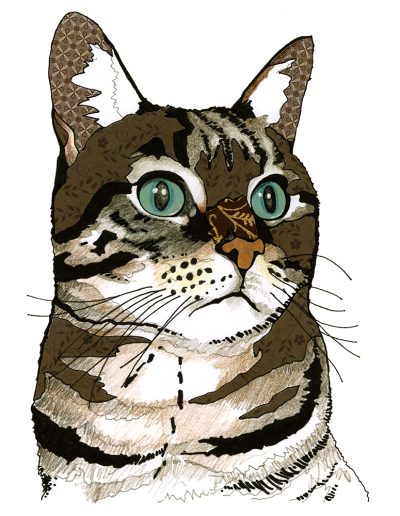 A drawing of a cat with mesmerizing green eyes, captivating viewers with its feline charm.