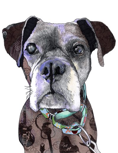 An image of a dog adorned with a collar