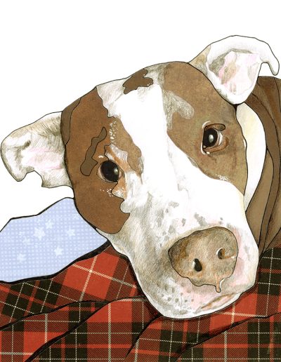 Image of a pitbull lying on a red and white checkered blanket.