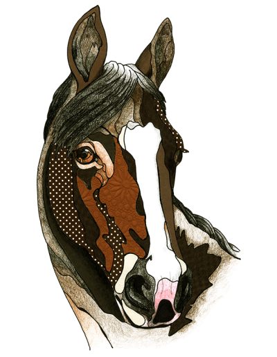 A quarterhorse with a brown and white face, standing gracefully.