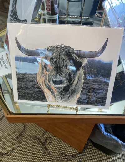 A display case showcasing a picture of a Bull